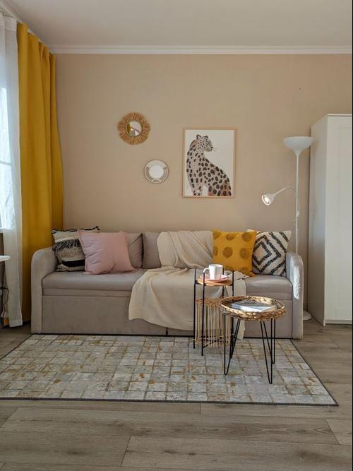 Однокомнатная квартира на улице: Ольгинская набережная, 5А