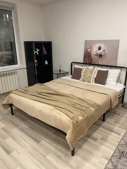 Однокомнатная квартира на улице: проспект Комарова, 17к3